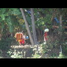 Ein hinduistisches Ritual abseits des NH66